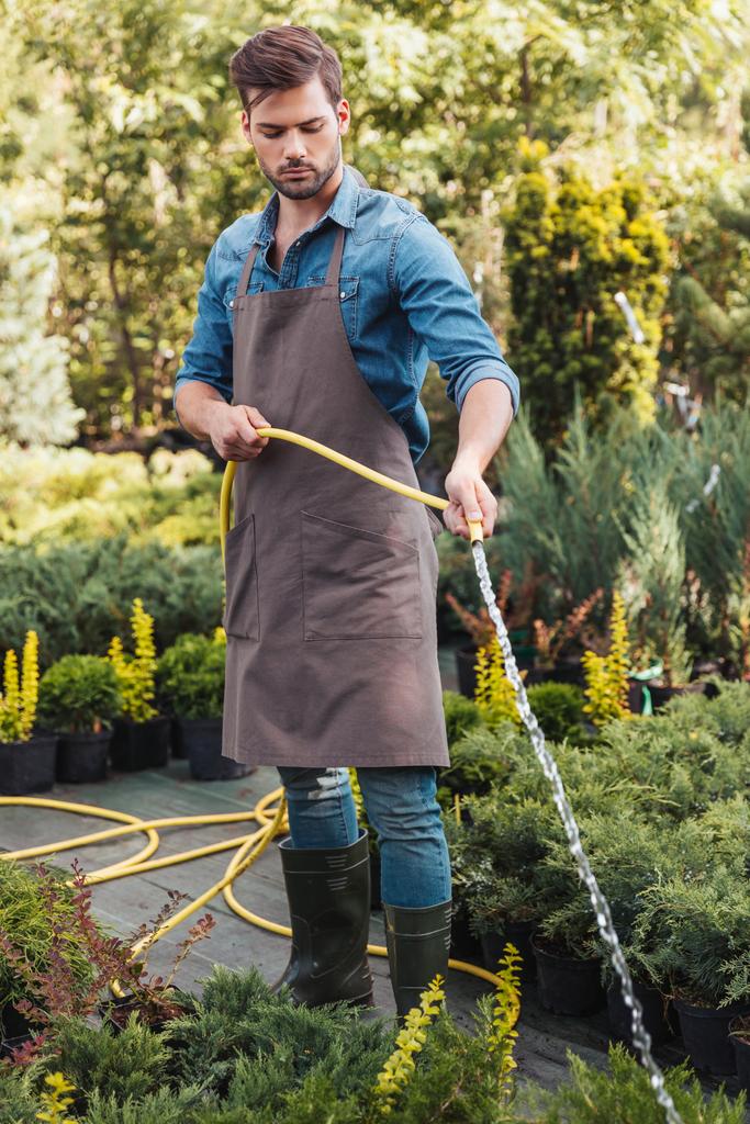 jardinero en plantas de riego delantal
 - Foto, Imagen