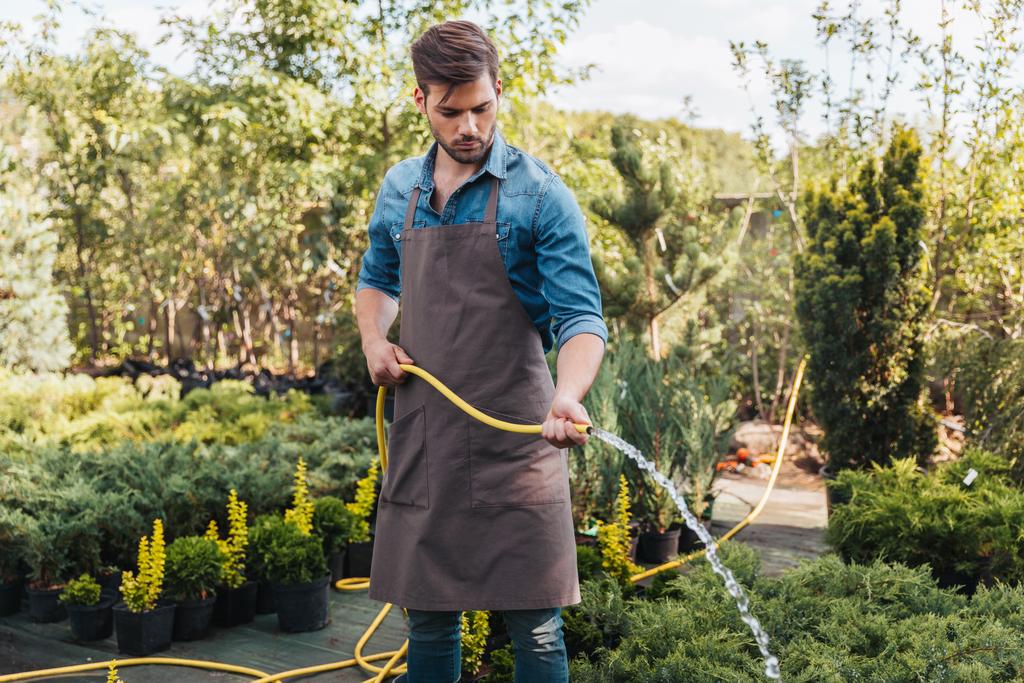 gardener in apron watering plants - Photo, Image