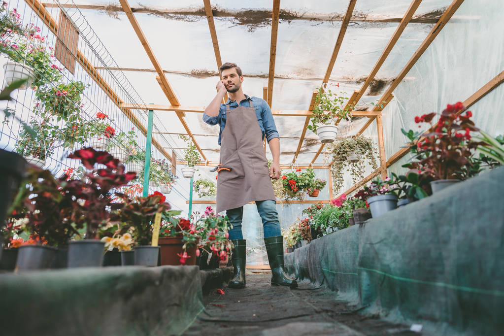 jardinier parler sur smartphone en serre
 - Photo, image