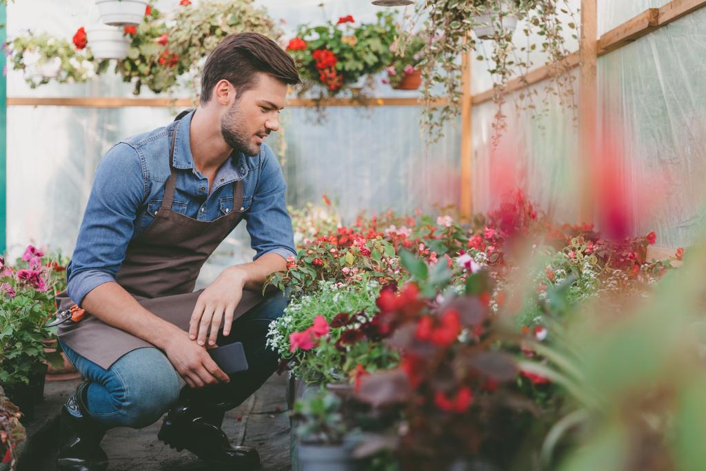 jardinero con smartphone en invernadero
 - Foto, Imagen