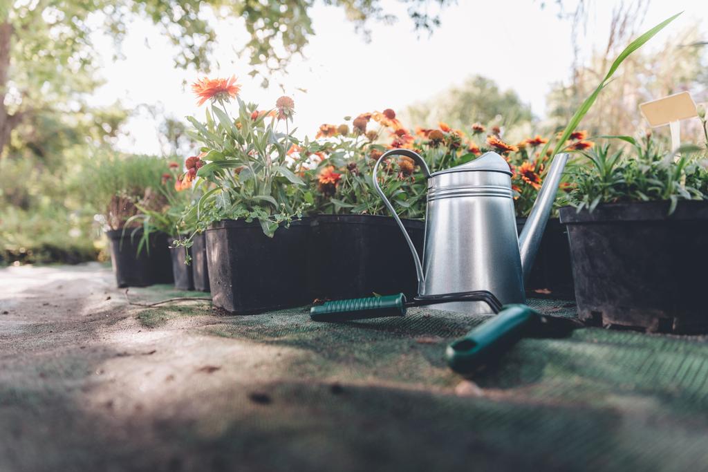 watering can, hand trowel and rake in garden - Photo, Image
