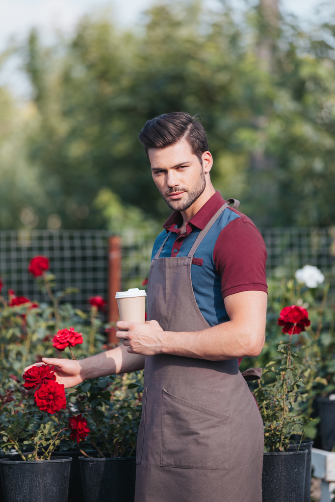 jardinero con café para ir en el jardín
 - Foto, Imagen