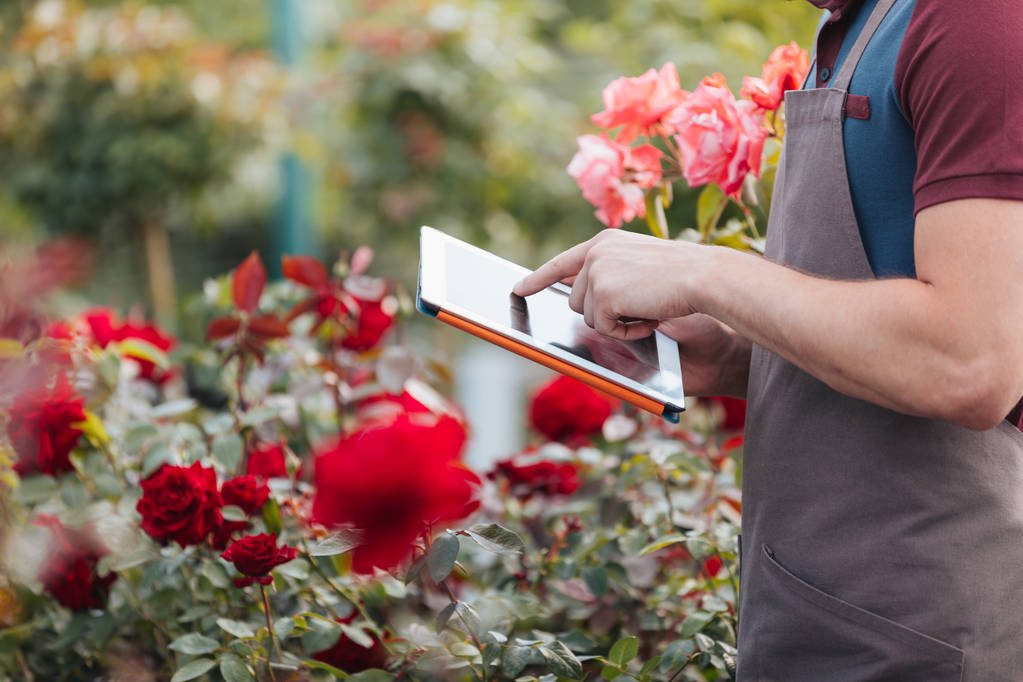 gardener with digital tablet - Photo, Image