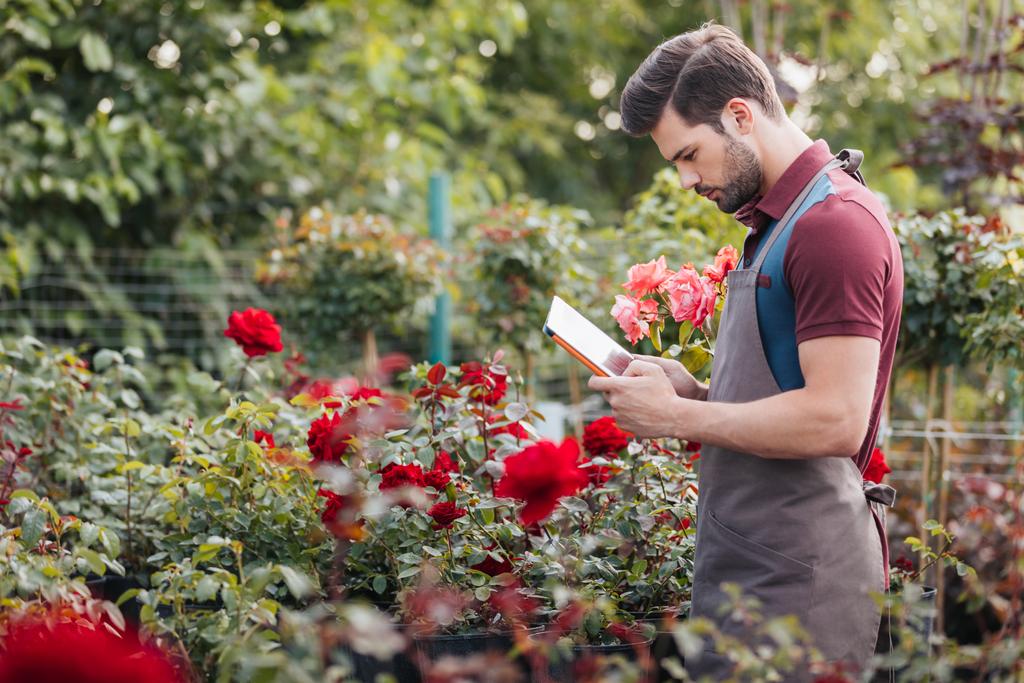 jardinier avec tablette pendant le travail dans le jardin
 - Photo, image