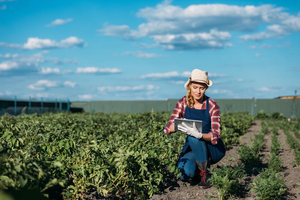 фермер, работающий с цифровым планшетом
 - Фото, изображение