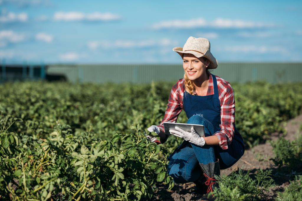 Landwirt arbeitet mit digitalem Tablet - Foto, Bild