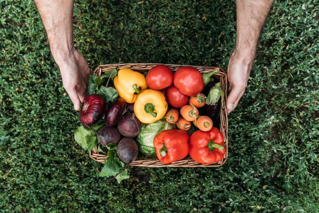 rolnik gospodarstwa koszyk z warzywami - Zdjęcie, obraz