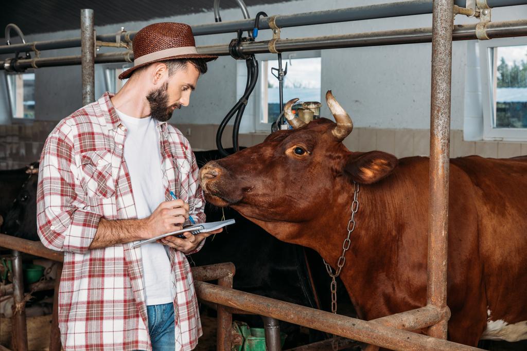 農家は牛舎でノートを取る - 写真・画像