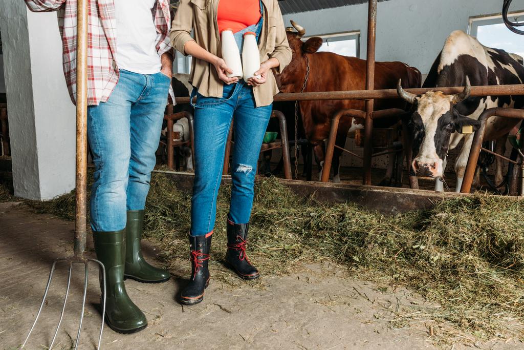 farmáři s čerstvého mléka v Kravíně - Fotografie, Obrázek