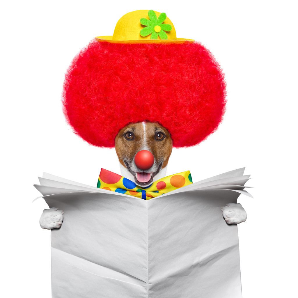 Perro payaso con peluca roja y sombrero
 - Foto, imagen