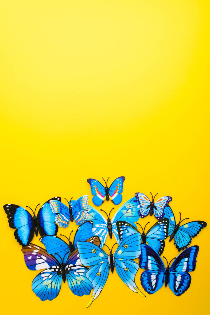 Mariposa azul sobre fondo amarillo
 - Foto, Imagen