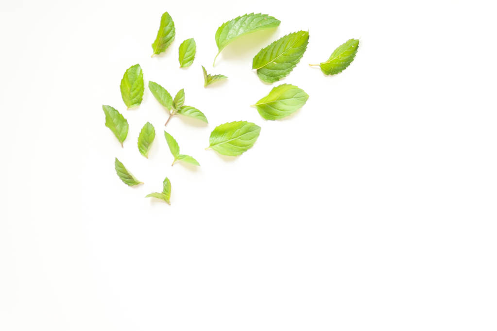 Composición con hojas de menta fresca
 - Foto, imagen