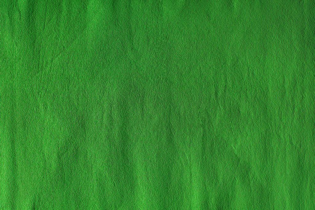 Libro verde
 - Foto, immagini