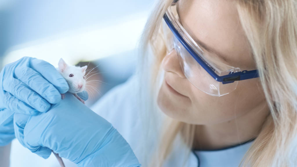 Cientista de Pesquisa Médica detém Laboratório Mouse. Ela trabalha em
  - Foto, Imagem