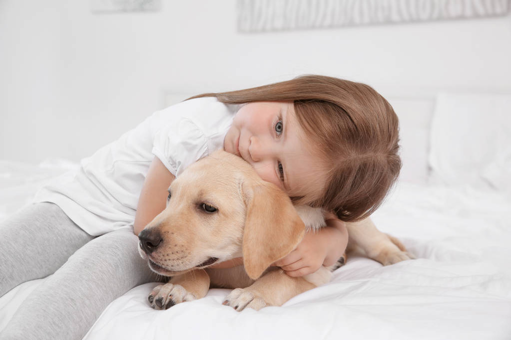 Enfant mignon avec Labrador Retriever au lit
 - Photo, image