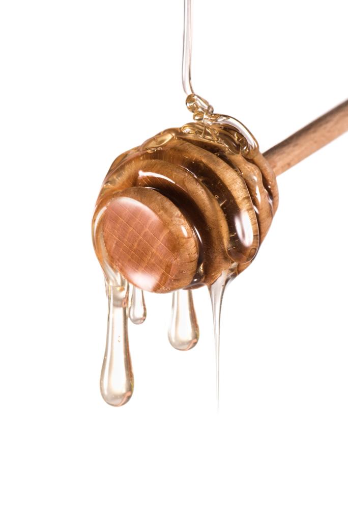 méz vízirigó - Fotó, kép