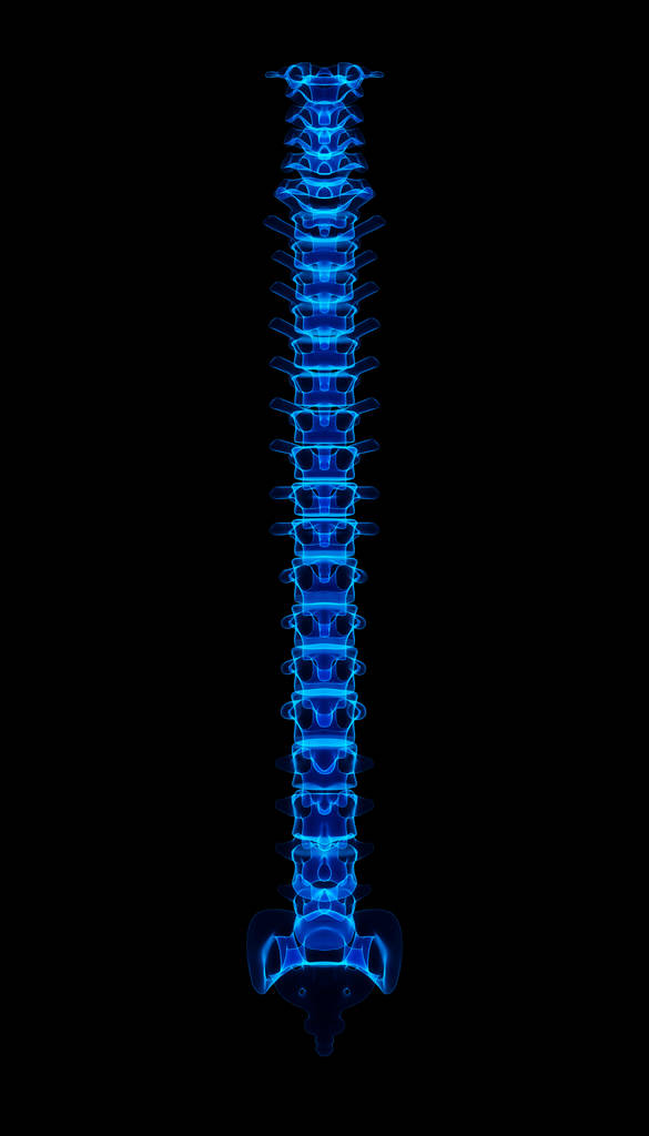 3D απεικόνιση του γυαλιστερό μπλε μυοσκελετικό σύστημα. - Φωτογραφία, εικόνα