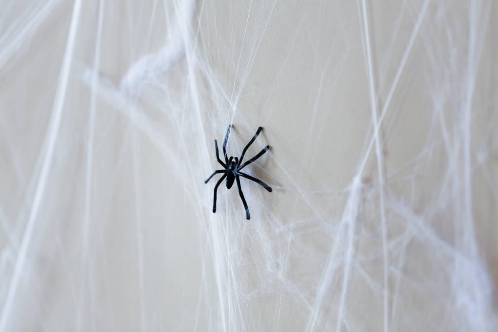 Halloween dekorace černé hračka pavouk na pavučina - Fotografie, Obrázek