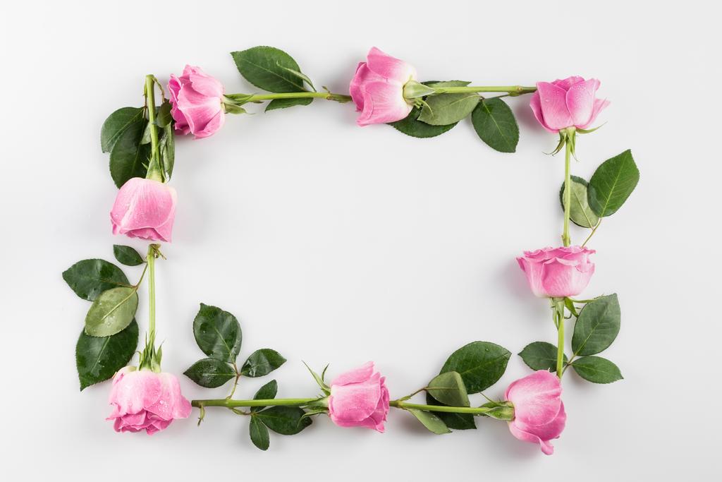 frame with pink roses - Photo, Image