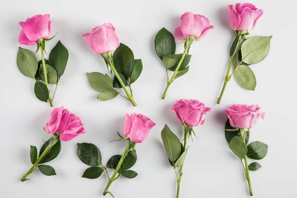 Розовые розы фон - Фото, изображение