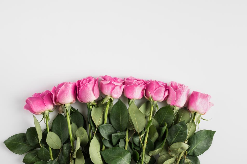 ροζ τριαντάφυλλα με αντίγραφο χώρου - Φωτογραφία, εικόνα