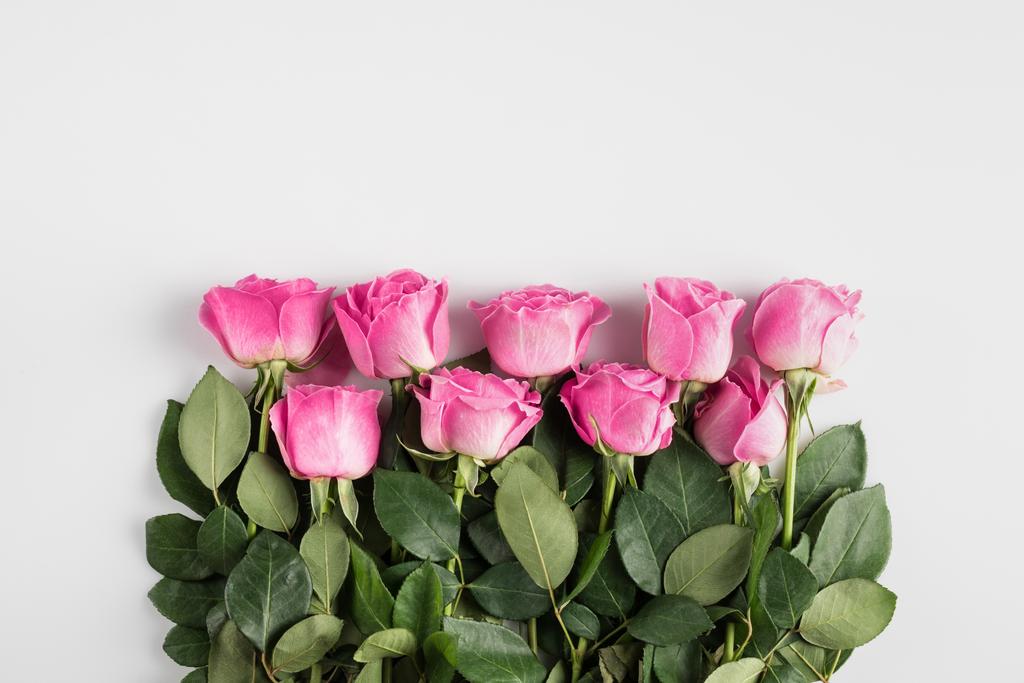 Розовые розы
 - Фото, изображение