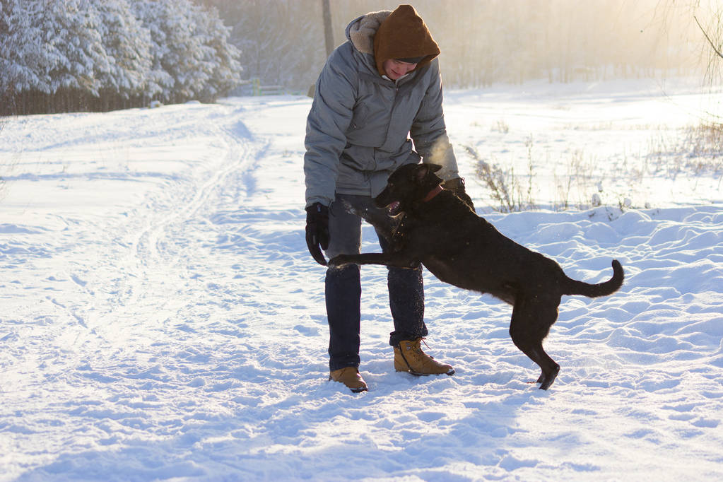 Hombre jugando con perro en campo de invierno
 - Foto, Imagen
