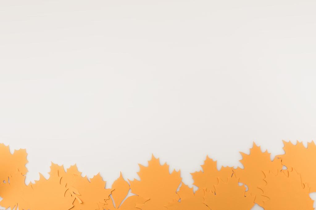határ test-ból őszi levelek - Fotó, kép