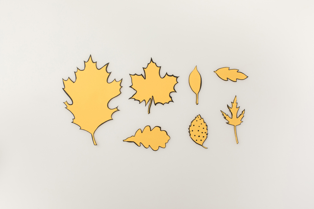 various drawn autumnal leaves - Photo, Image