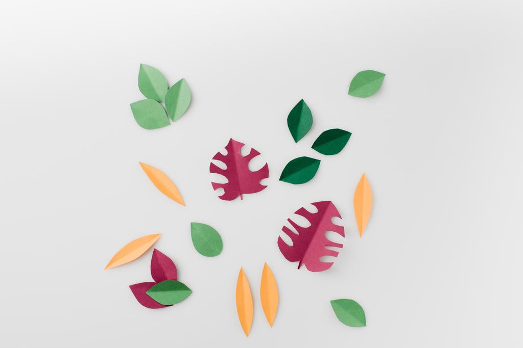 samenstelling van verschillende kleurrijke bladeren - Foto, afbeelding