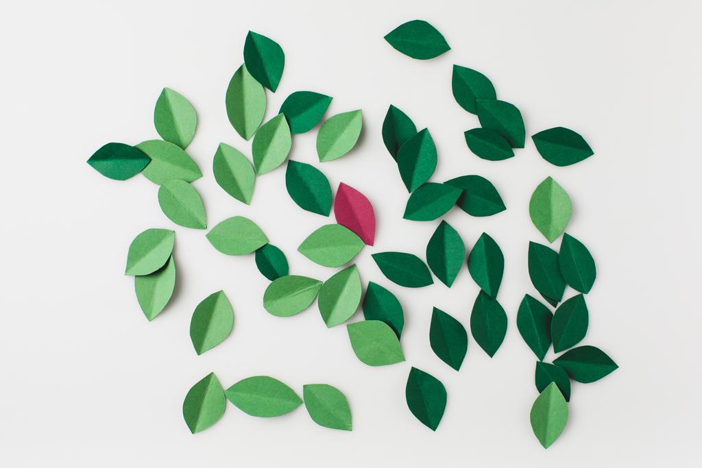tas de feuilles de papier vert
 - Photo, image