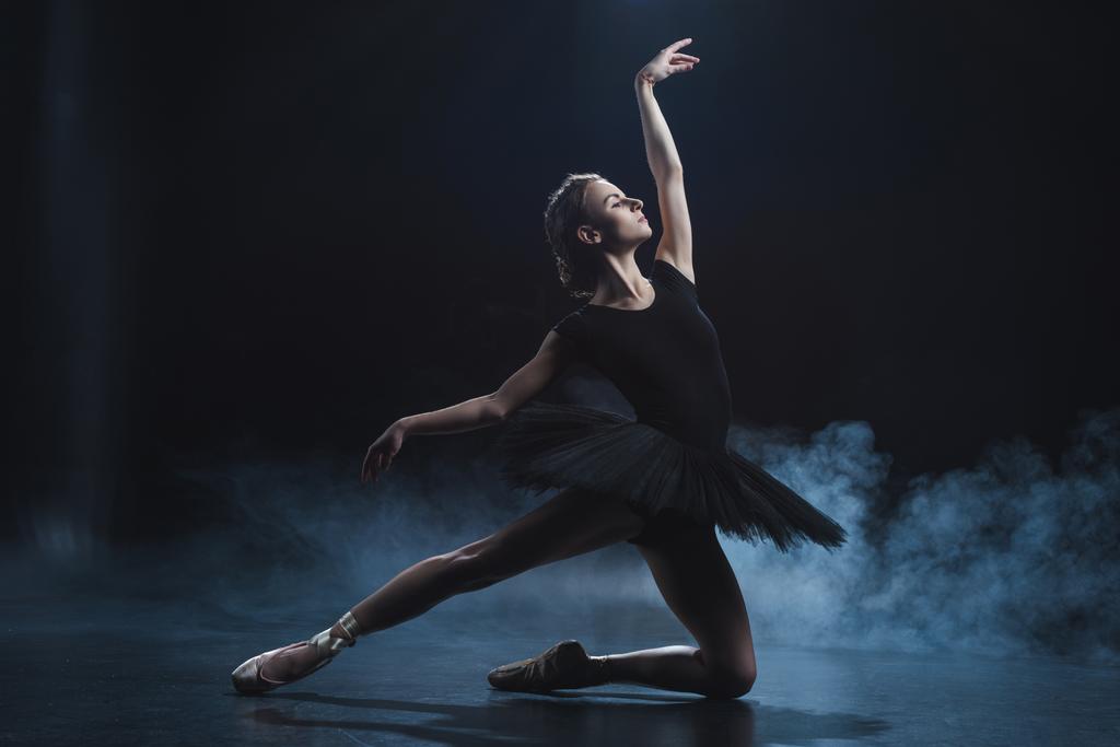 elegantní baleríny   - Fotografie, Obrázek