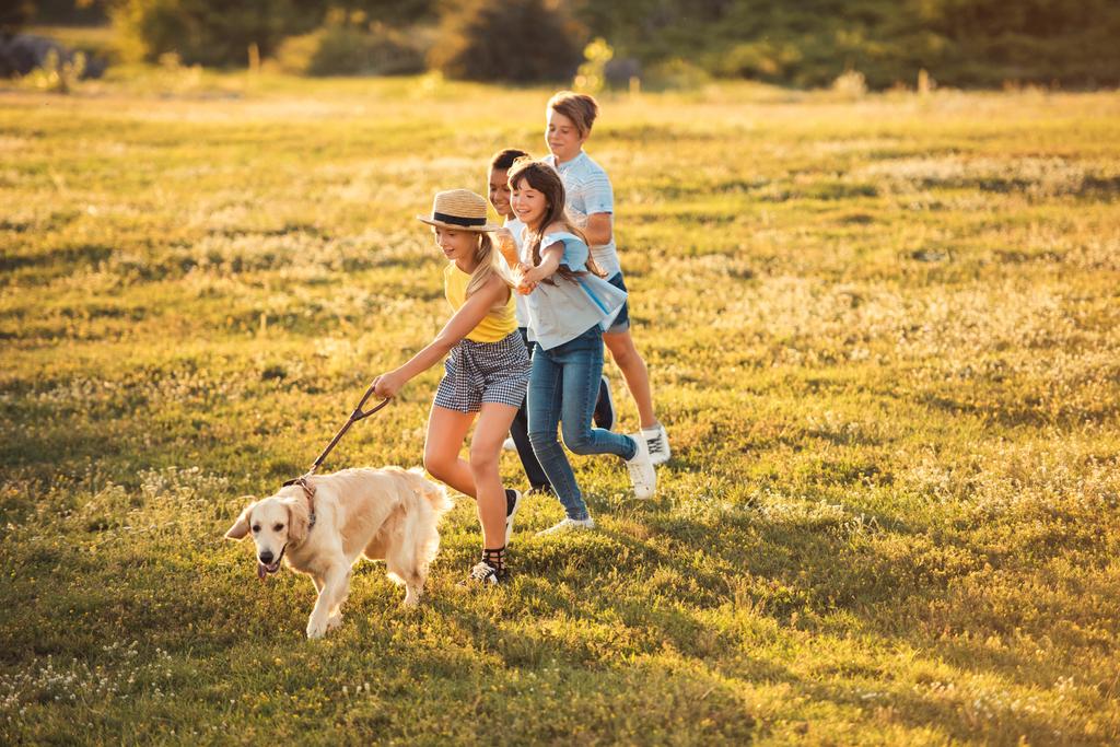 підлітки з собакою в парку
 - Фото, зображення