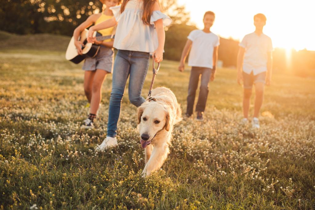 adolescentes com cão andando no parque
 - Foto, Imagem