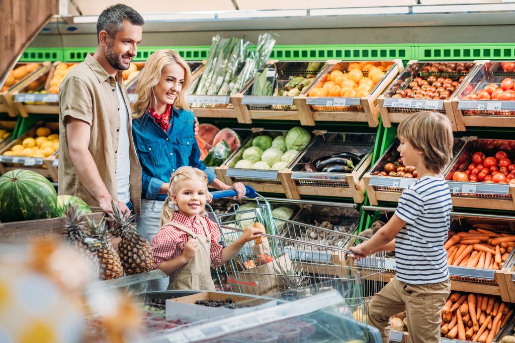 Süpermarkette alışveriş sepeti ile aile - Fotoğraf, Görsel