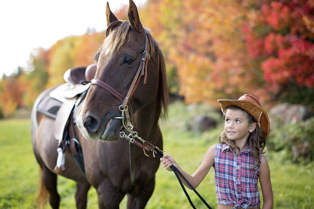 Młoda dziewczyna w sezonie jesiennym i koń - Zdjęcie, obraz