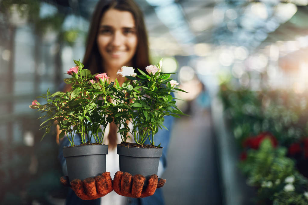 Giovane signora giardiniere in possesso di piante in vaso cercando di venderli nel suo negozio serra di recente costruzione. Concetto di vendita
. - Foto, immagini