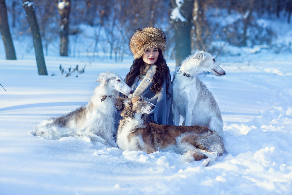Een meisje met greyhounds in de sneeuw - Foto, afbeelding