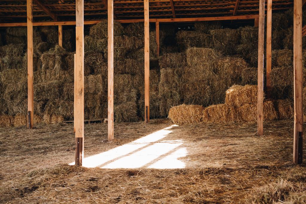 hay in stall - Photo, Image