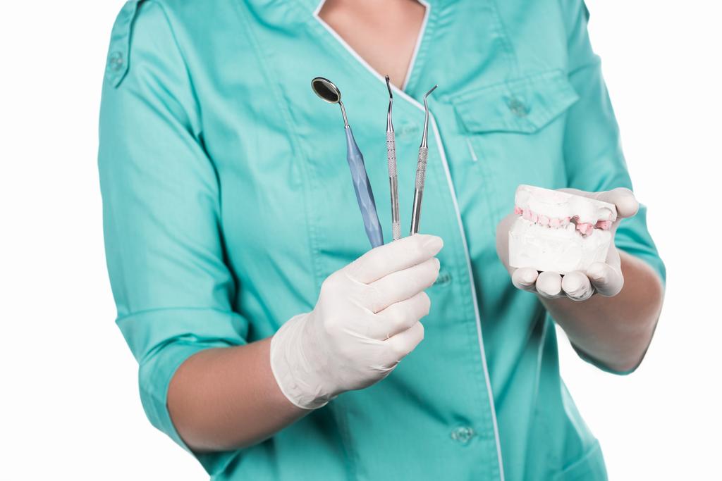 ammatillinen hammaslääkäri työkaluja ja leuka
 - Valokuva, kuva