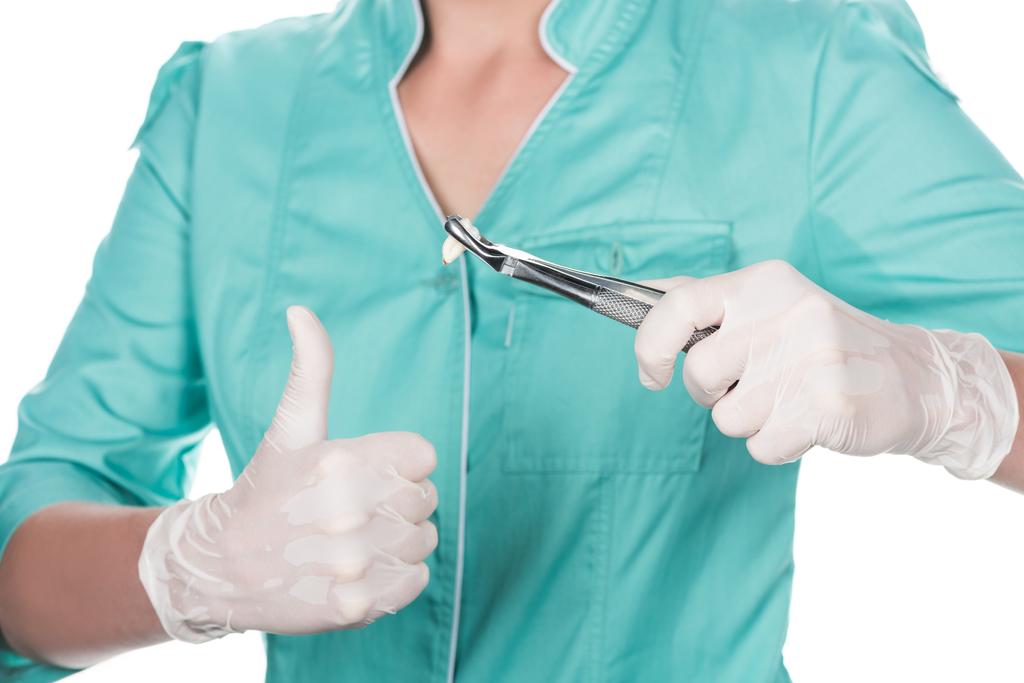 Dentista sosteniendo pinzas con prótesis dentales
 - Foto, Imagen