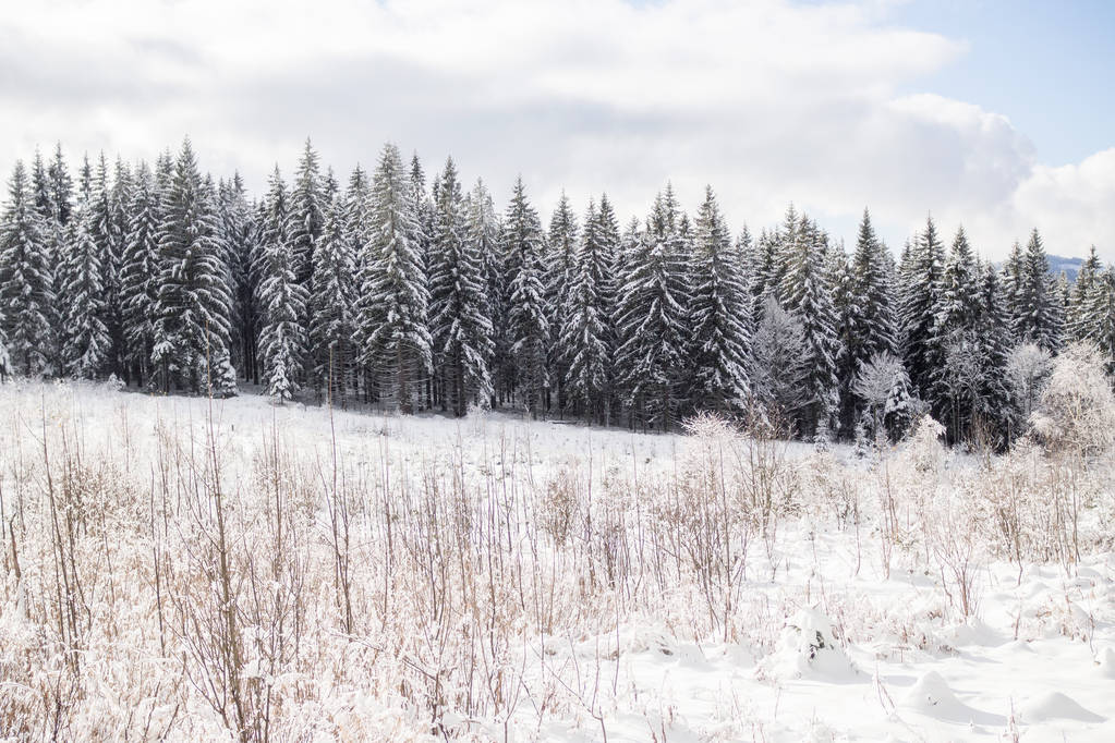 Paisaje invernal en Baviera
 - Foto, imagen