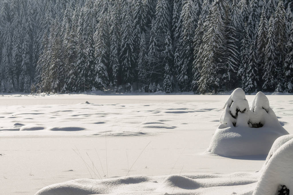 зимовий пейзаж у Баварії - Фото, зображення