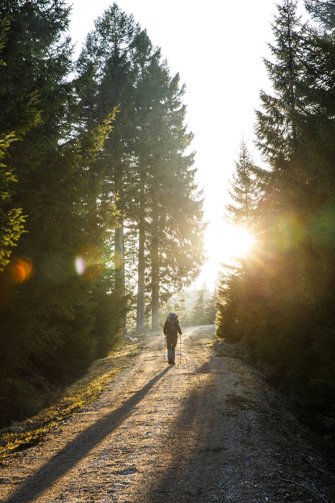 Güneş parlıyor bir dağ yolda yürürken kadın uzun yürüyüşe çıkan kimse  - Fotoğraf, Görsel