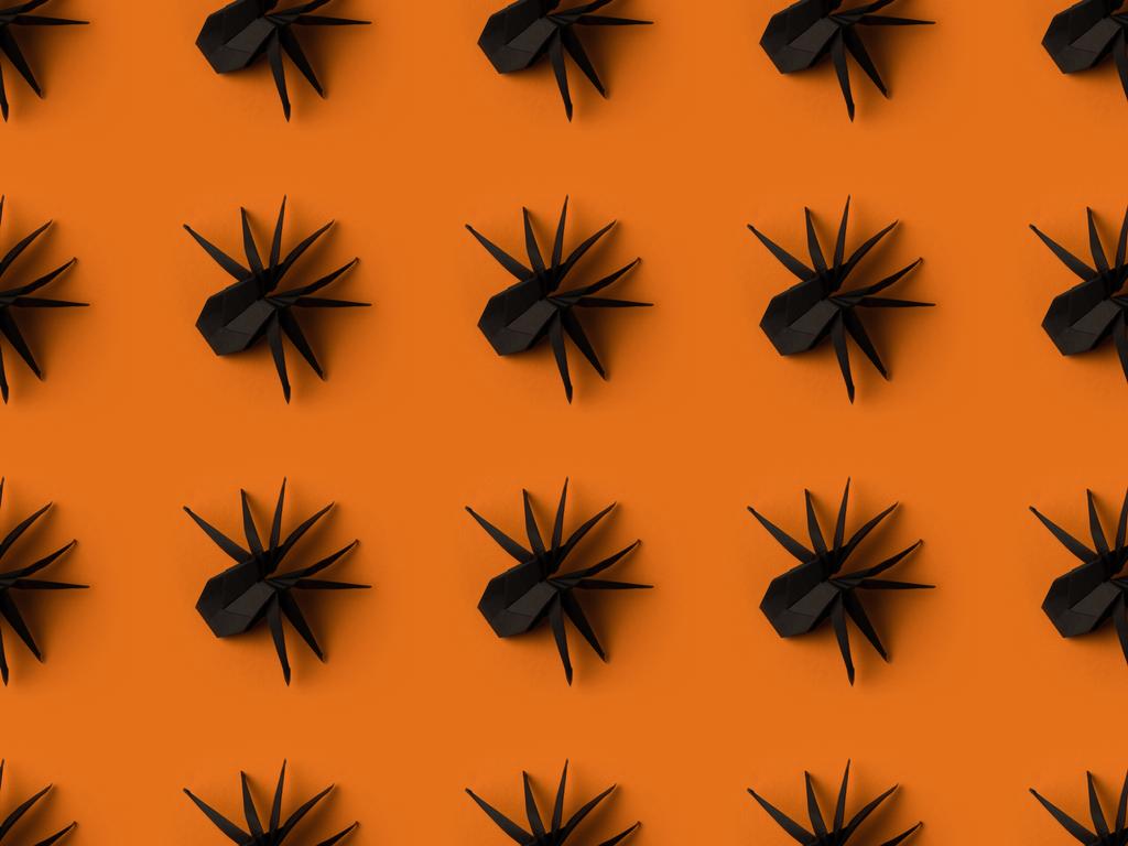 halloween rakenne hämähäkkejä
 - Valokuva, kuva