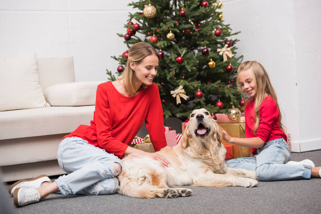 Familie mit Hund am Weihnachtsbaum - Foto, Bild