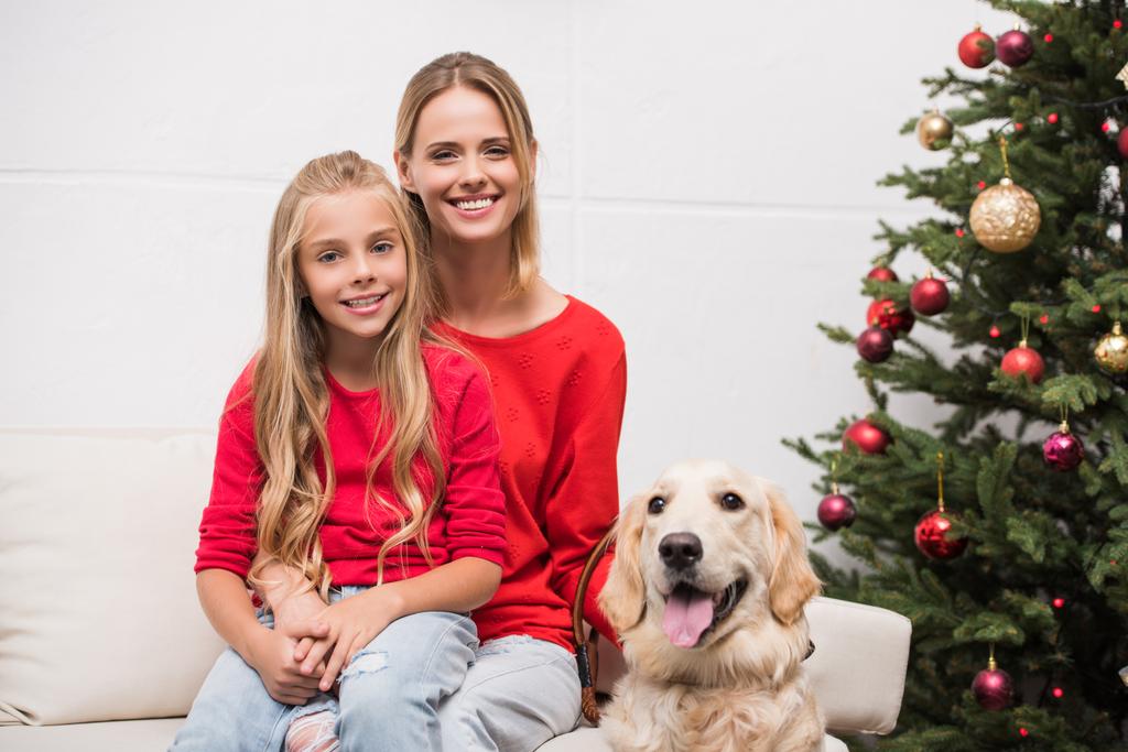 Perhe koiran kanssa joulukuusessa
 - Valokuva, kuva
