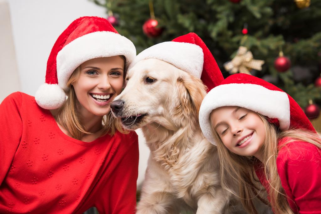 mother, daughter and dog in Santa hats - Photo, Image