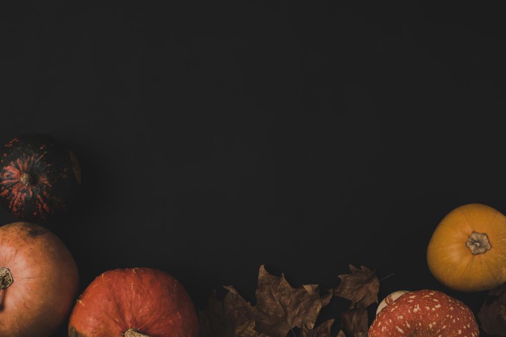 тыквы и сухие листья
 - Фото, изображение