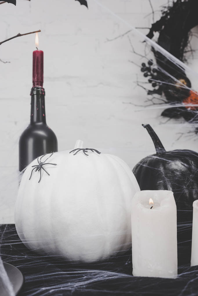 Halloween pumpkins ile örümcekler - Fotoğraf, Görsel